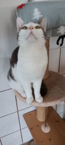 *Olivia*